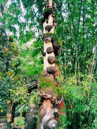 Chengdu as A Travel Drstination: Wonders and Wows By Every Step
