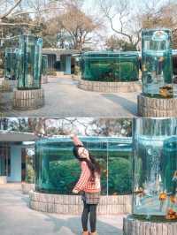 動物園遊記ᵕ̈終於看到軍軍和紅糖啦 附攻略