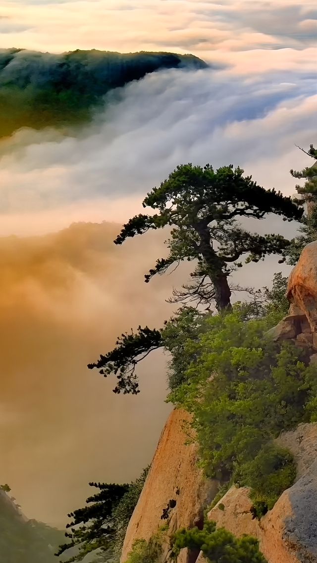 千山風光