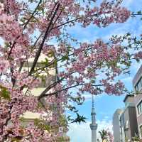 東京鐵塔全攻略！吃喝玩樂一站式體驗