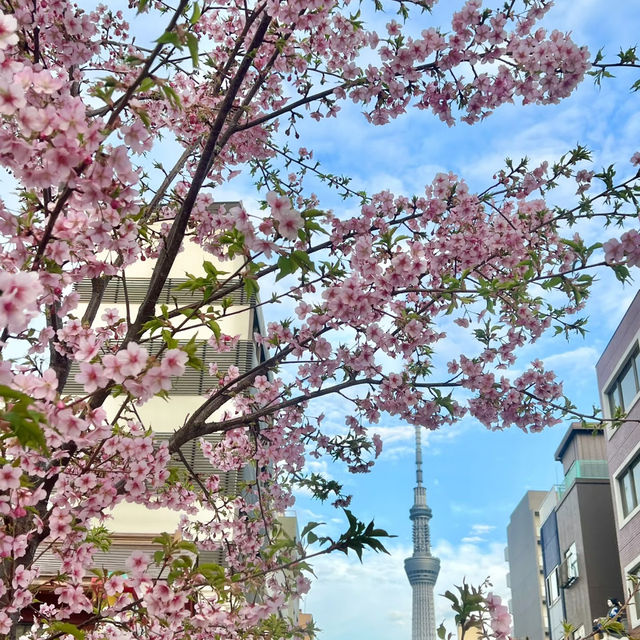 東京鐵塔全攻略！吃喝玩樂一站式體驗