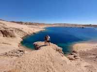 「拉斯穆罕默德國家公園（Ras Mohammed National Park）——紅海潛水天堂」