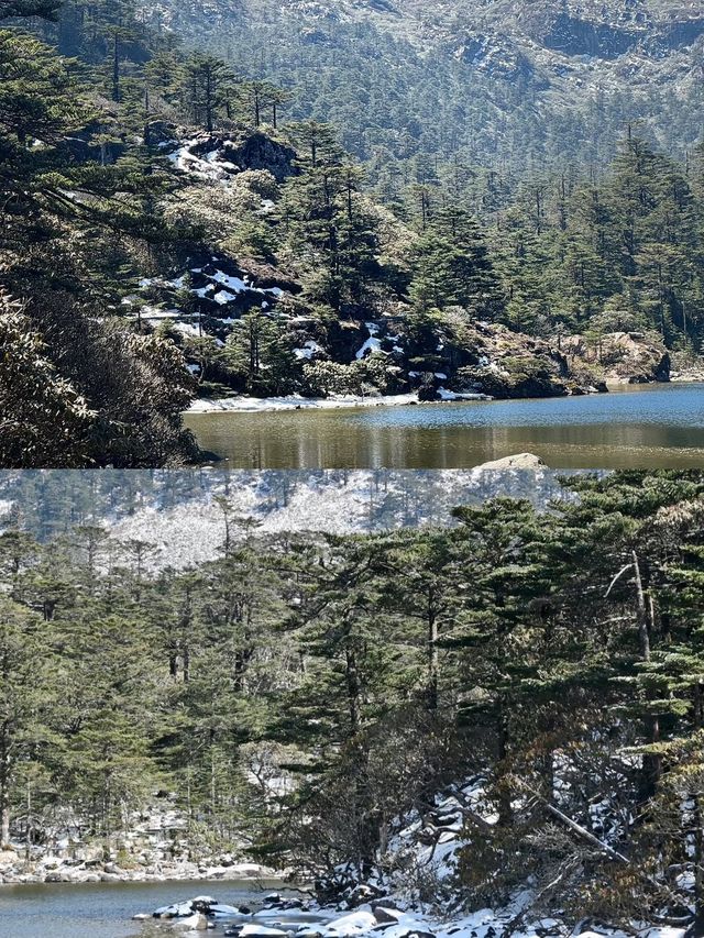 承包整片仙境的雪山秘境