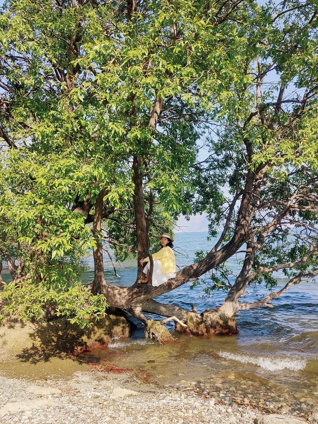 大理騎行洱海邊，欣賞人間三月的春景