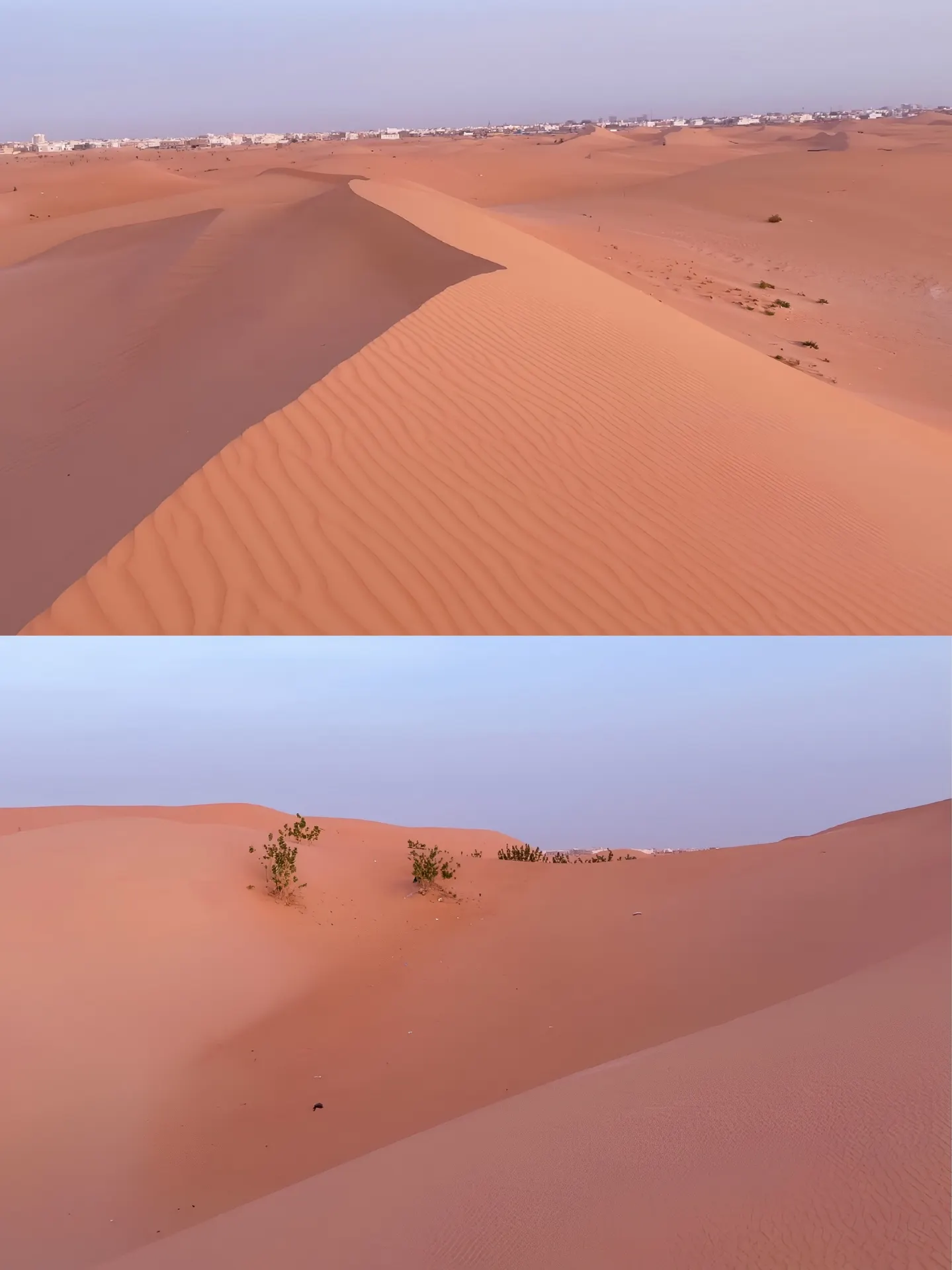 A Romantic Encounter Where the Atlantic Meets the Desert in Nouakchott