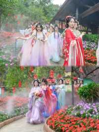 你以為在洛陽？其實就在清遠而已！花神降臨！