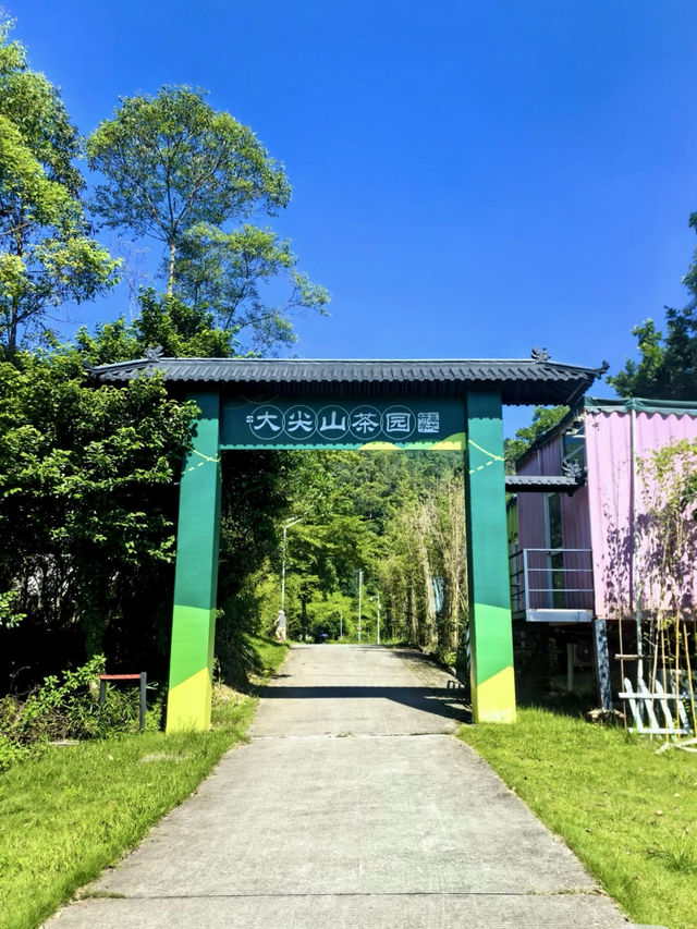 星空下的靜謐之約：大尖山露營記