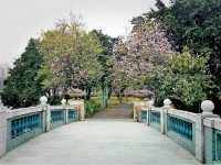 10 Days of Visa Free Transit Stay in Jieyang: Authentic China Vivid Life City Joy