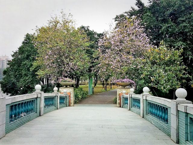 10 Days of Visa Free Transit Stay in Jieyang: Authentic China Vivid Life City Joy