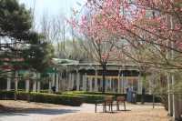 奧林匹克森林公園南園