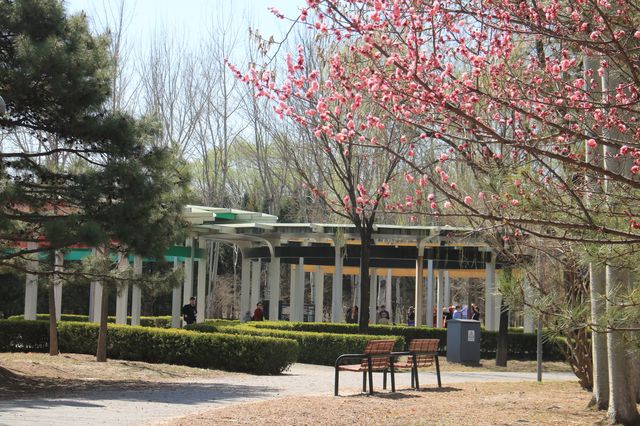 奧林匹克森林公園南園