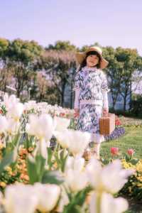 上海市區這片鬱金香花海已經盛開 3.21 實況