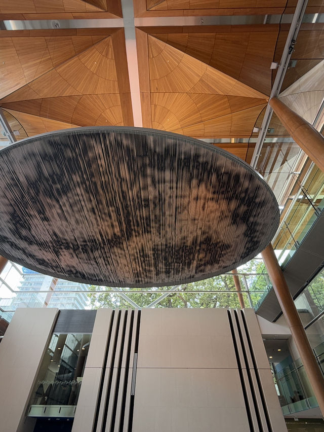 Auckland Art Gallery, Top Free Thing To do In Auckland! 🖼️ 🎨 