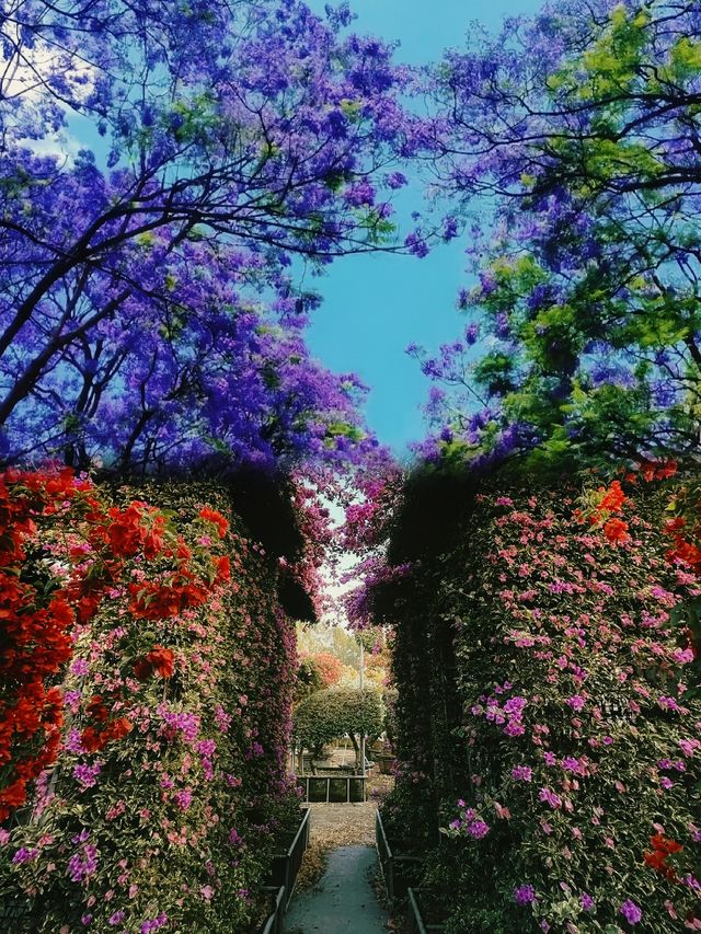 旅行的路上，看萬物都可愛。