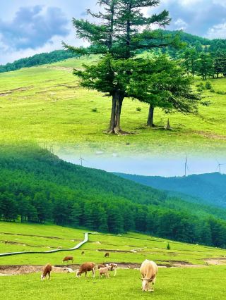 Little Switzerland of Shanxi, reachable within an hour's drive from Taiyuan.