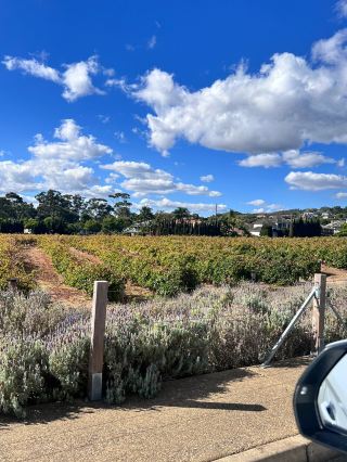 A Short Family Vacation in Australia Is Just Right—Don't Miss Out!