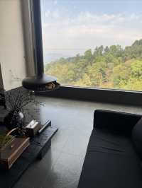 西雙版納徒步茶山住在雨林裏