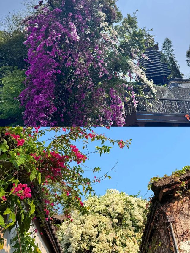「人生是一萬次的春和景明」