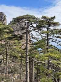 黃山4日遊 短假期的不二之選