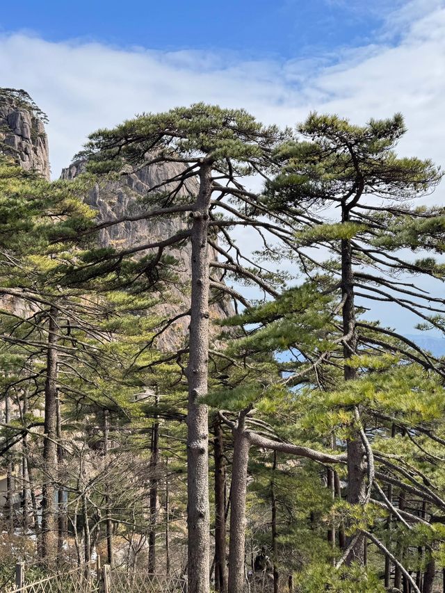 黃山4日遊 短假期的不二之選