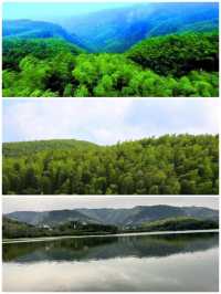 咸寧星星竹海風景區
