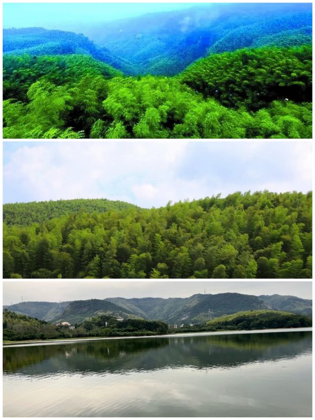 咸寧星星竹海風景區