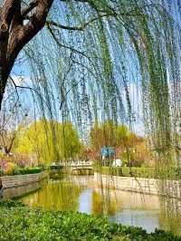 北京賞花路線分享