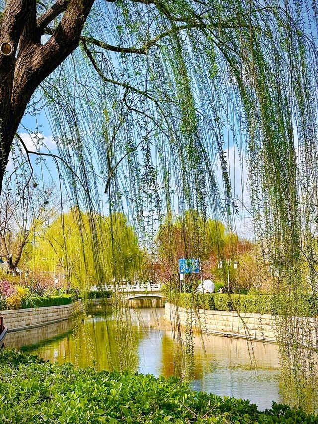 北京賞花路線分享