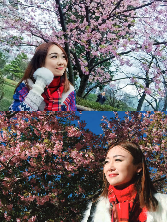 日本賞櫻🌸多條路線攻略請收好