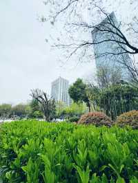 西安～高新區嘅中央公園
