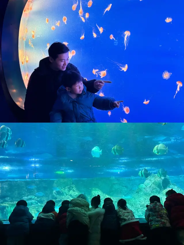 南京海底世界親子遊唔攰攻略