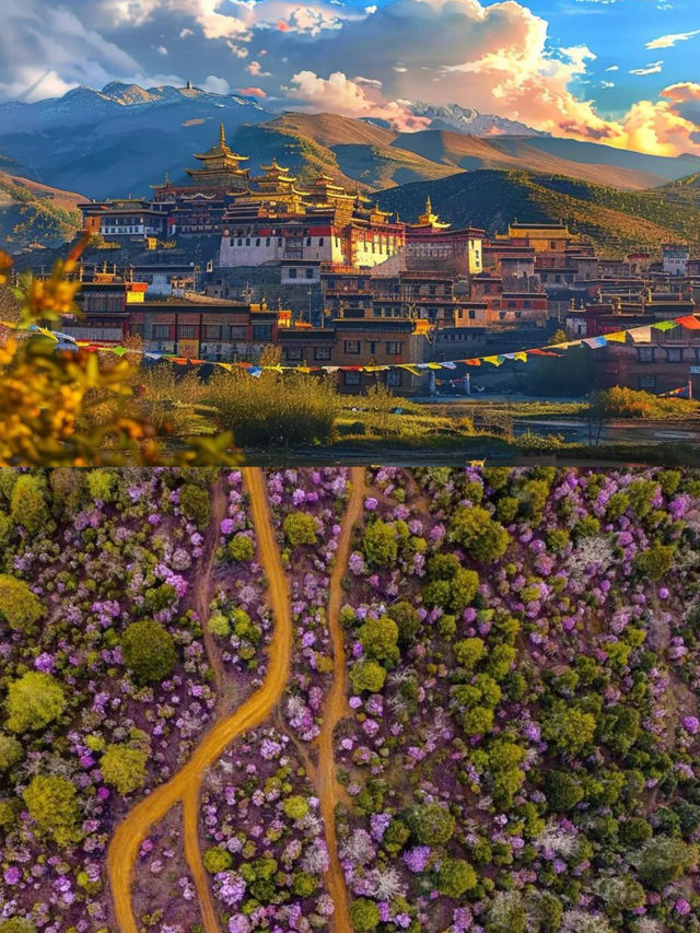 香格里拉｜最接近天堂的地方！！！
