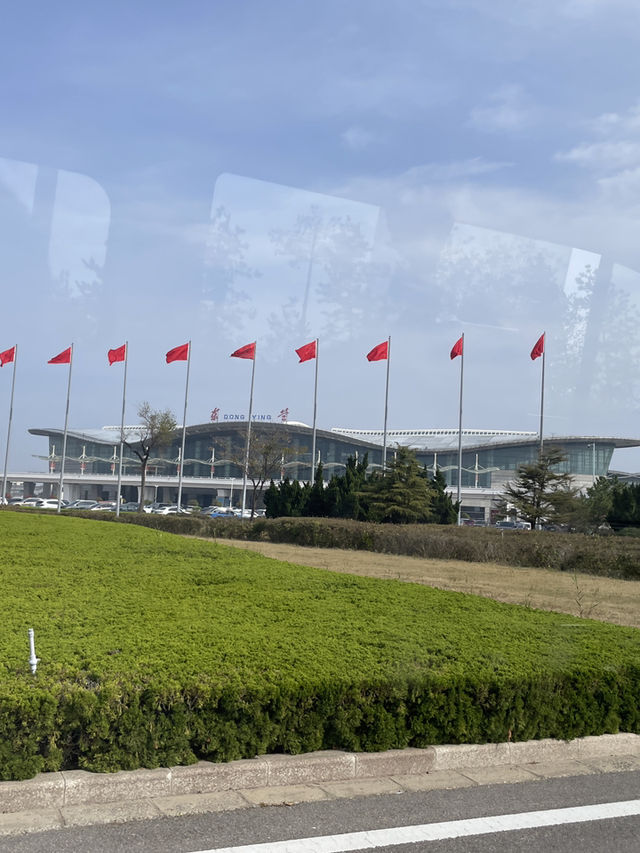 黃河入海口｜東營市區隱藏玩法💥