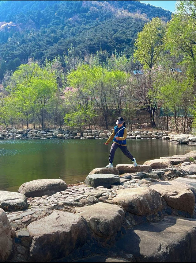 泰山隱藏玩法 | 本地人才知道的秘密打卡地