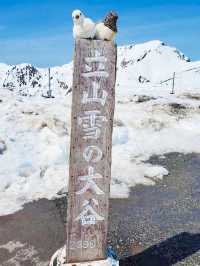 四月來日本除了賞櫻，還可以去這裡...🌸