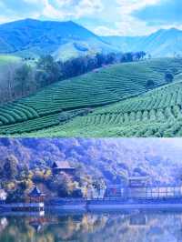 安吉｜藏在茶山裡的溫泉酒店