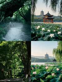 被瘋傳的西湖雨天美照點影？跟住呢份攻略影即刻封神