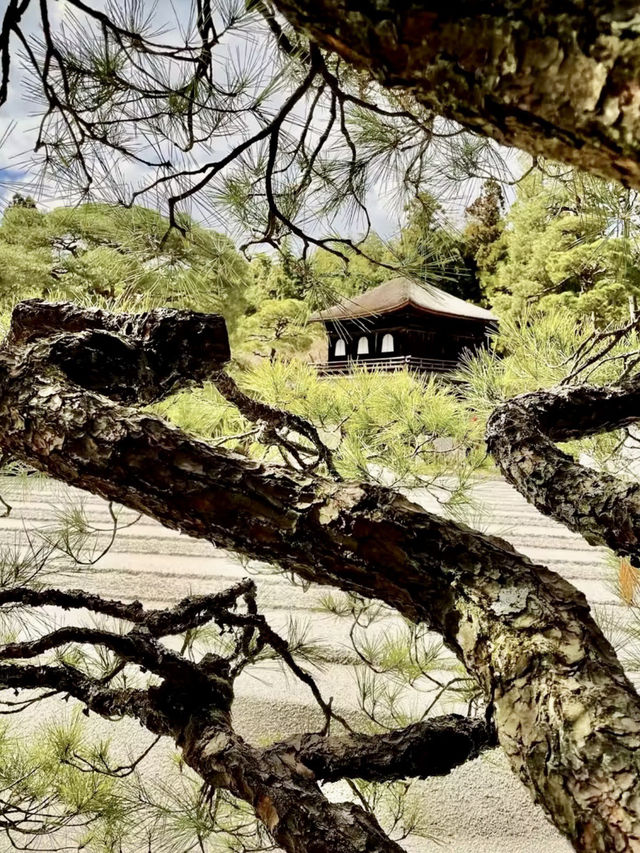 銀閣寺的禪意與卢费尔蒙特的典雅