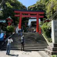  📔東京實習日記｜江之島治愈之旅：在山海間捕捉夏日浪漫 