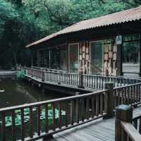 廣州小眾公園！樹木公園 這就是i人最愛的靜謐感吧