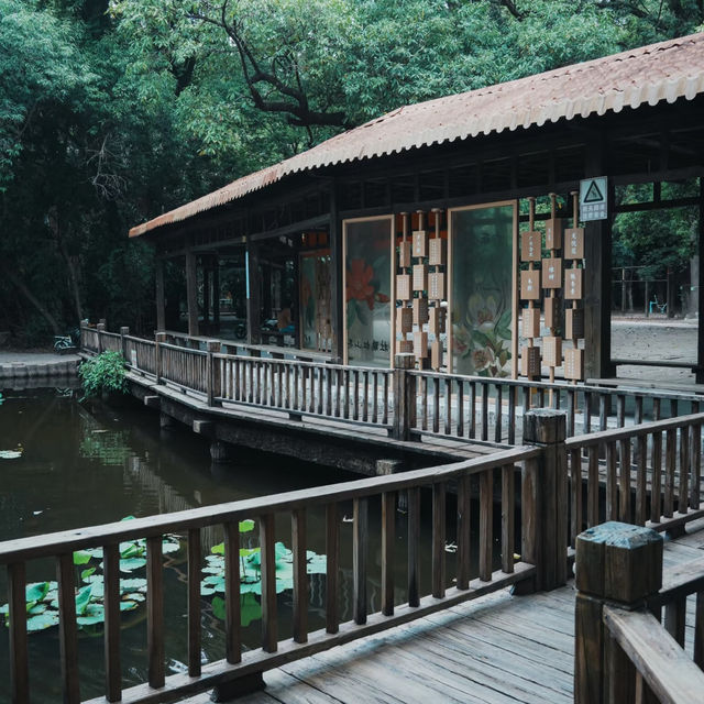 廣州小眾公園！樹木公園 這就是i人最愛的靜謐感吧