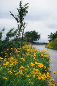 ——喺自然秘境中,喚醒生活嘅詩意