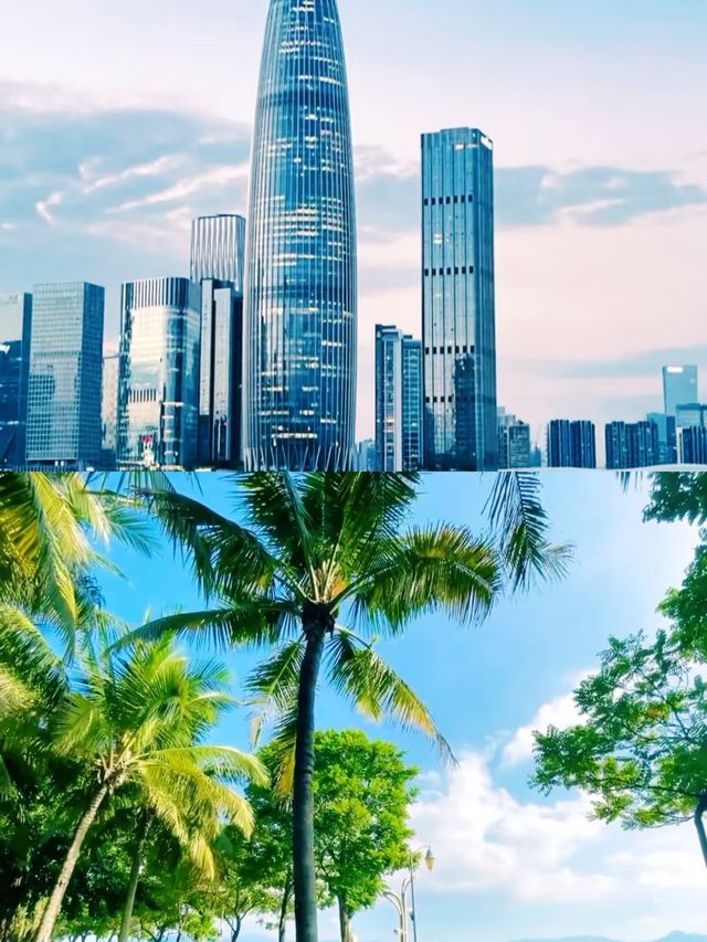 深圳點樣玩，竟然仲有人唔知