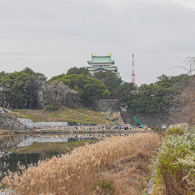 🌸藏在名古屋城邊的春日浪漫！名城公園賞櫻&打卡指南✨