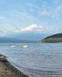 東京出發，懶人富士山網紅打卡攻略