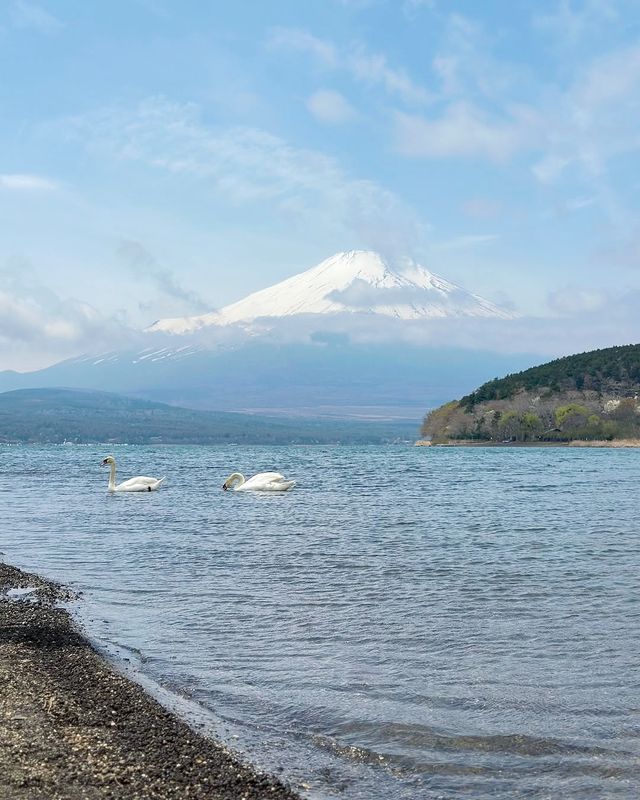 東京出發，懶人富士山網紅打卡攻略