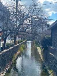 端午快閃京都鴨川：古韻河川的夏日風情指南