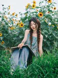 救命！在深圳撞進了向日葵的盛夏時光🌻每一幀都像被陽光吻過的浪漫畫報！