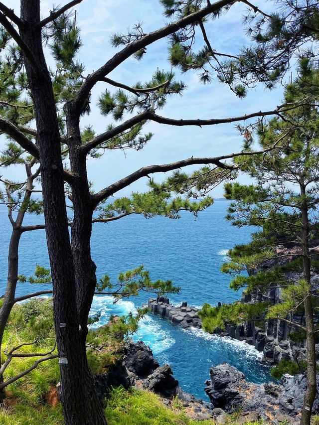 說走就走嘅濟州島！免簽情侶必睇旅遊景點推薦