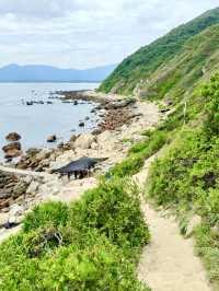 Explore the Wild Beauty of Shenzhen’s Coastline! 🌊  